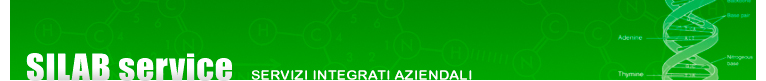 SILAB - Servizi Integrati Aziendali